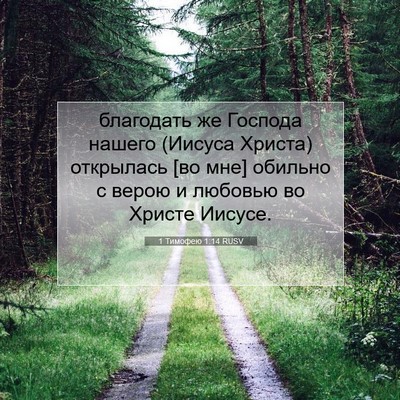 Picture 07 - 1 Тимофею 1:14 RUSV - благодать же Господа - Bible Verse Picture