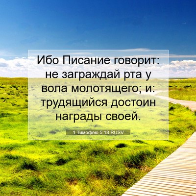 Picture 07 - 1 Тимофею 5:18 RUSV - Ибо Писание говорит: не - Bible Verse Picture