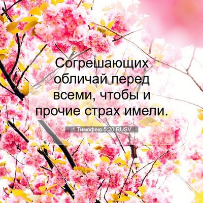 Picture 07 - 1 Тимофею 5:20 RUSV - Согрешающих обличай перед - Bible Verse Picture