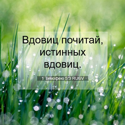 Picture 07 - 1 Тимофею 5:3 RUSV - Вдовиц почитай, истинных - Bible Verse Picture