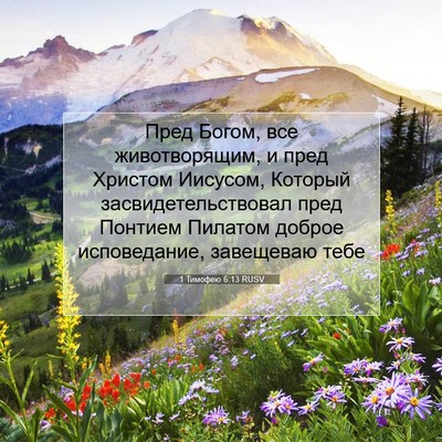 Picture 07 - 1 Тимофею 6:13 RUSV - Пред Богом, все - Bible Verse Picture