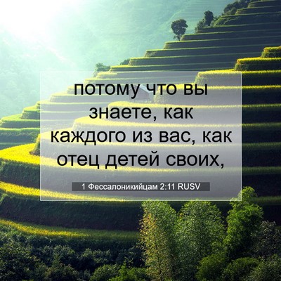 Picture 07 - 1 Фессалоникийцам 2:11 RUSV - потому что вы знаете, как - Bible Verse Picture