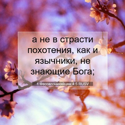 Picture 07 - 1 Фессалоникийцам 4:5 RUSV - а не в страсти похотения, - Bible Verse Picture