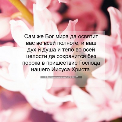 Picture 07 - 1 Фессалоникийцам 5:23 RUSV - Сам же Бог мира да освятит - Bible Verse Picture