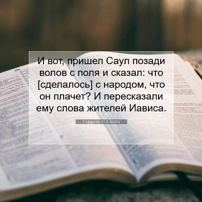 Picture 07 - 1 Царств 11:5 RUSV - И вот, пришел Саул позади - Bible Verse Picture