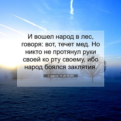 Picture 07 - 1 Царств 14:26 RUSV - И вошел народ в лес, говоря: - Bible Verse Picture