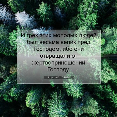 Picture 07 - 1 Царств 2:17 RUSV - И грех этих молодых людей - Bible Verse Picture