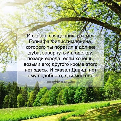 Picture 07 - 1 Царств 21:9 RUSV - И сказал священник: вот меч - Bible Verse Picture