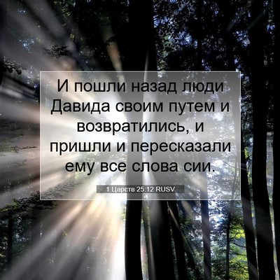 Picture 07 - 1 Царств 25:12 RUSV - И пошли назад люди Давида - Bible Verse Picture