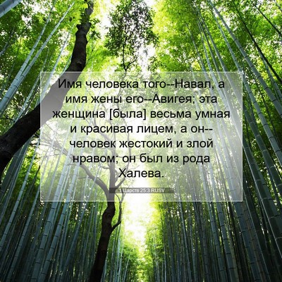 Picture 07 - 1 Царств 25:3 RUSV - Имя человека того--Навал, а - Bible Verse Picture