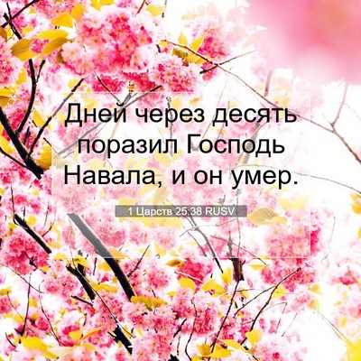 Picture 07 - 1 Царств 25:38 RUSV - Дней через десять поразил - Bible Verse Picture