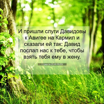 Picture 07 - 1 Царств 25:40 RUSV - И пришли слуги Давидовы к - Bible Verse Picture