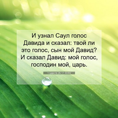 Picture 07 - 1 Царств 26:17 RUSV - И узнал Саул голос Давида и - Bible Verse Picture