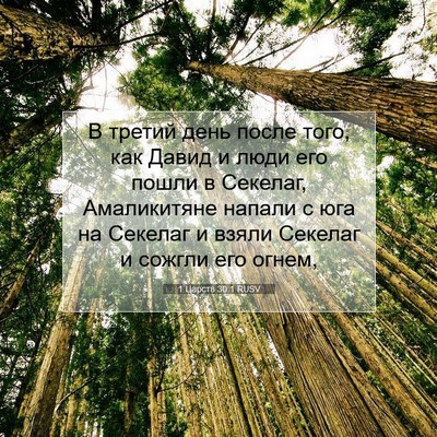 Picture 07 - 1 Царств 30:1 RUSV - В третий день после того, - Bible Verse Picture