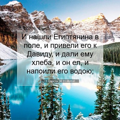 Picture 07 - 1 Царств 30:11 RUSV - И нашли Египтянина в поле, - Bible Verse Picture
