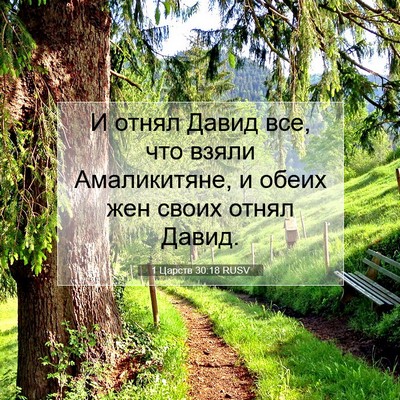 Picture 07 - 1 Царств 30:18 RUSV - И отнял Давид все, что - Bible Verse Picture