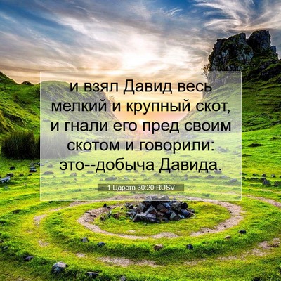 Picture 07 - 1 Царств 30:20 RUSV - и взял Давид весь мелкий и - Bible Verse Picture