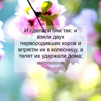 Picture 07 - 1 Царств 6:10 RUSV - И сделали они так: и взяли - Bible Verse Picture