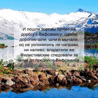 Picture 07 - 1 Царств 6:12 RUSV - И пошли коровы прямо на - Bible Verse Picture