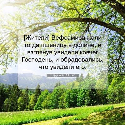 Picture 07 - 1 Царств 6:13 RUSV - [Жители] Вефсамиса жали - Bible Verse Picture