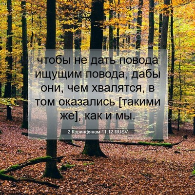 Picture 07 - 2 Коринфянам 11:12 RUSV - чтобы не дать повода - Bible Verse Picture