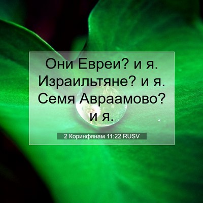 Picture 07 - 2 Коринфянам 11:22 RUSV - Они Евреи? и я. Израильтяне? - Bible Verse Picture