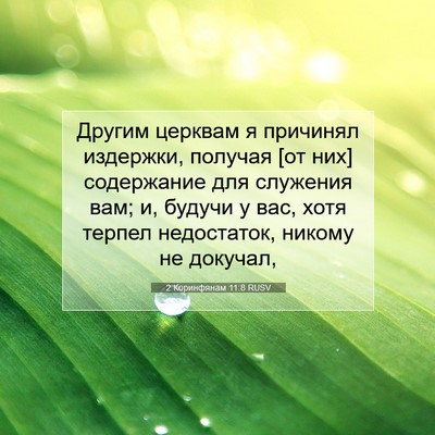 Picture 07 - 2 Коринфянам 11:8 RUSV - Другим церквам я причинял - Bible Verse Picture