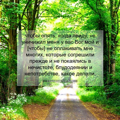Picture 07 - 2 Коринфянам 12:21 RUSV - чтобы опять, когда приду, - Bible Verse Picture