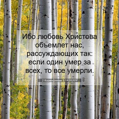 Picture 07 - 2 Коринфянам 5:14 RUSV - Ибо любовь Христова - Bible Verse Picture