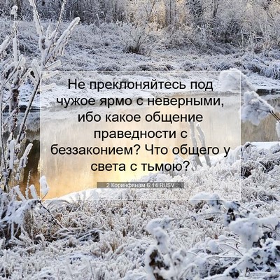 Picture 07 - 2 Коринфянам 6:14 RUSV - Не преклоняйтесь под чужое - Bible Verse Picture