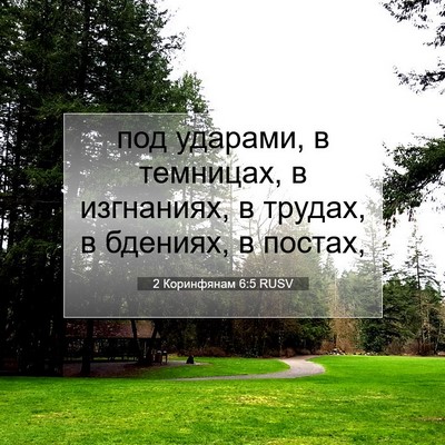 Picture 07 - 2 Коринфянам 6:5 RUSV - под ударами, в темницах, в - Bible Verse Picture