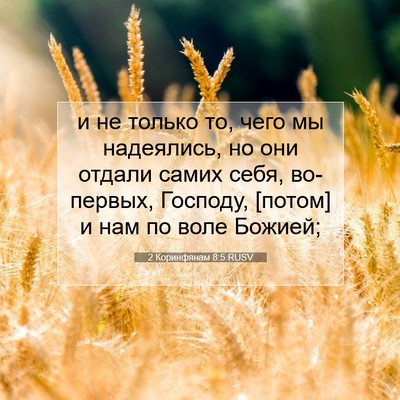 Picture 07 - 2 Коринфянам 8:5 RUSV - и не только то, чего мы - Bible Verse Picture