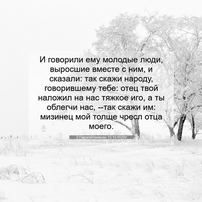 Picture 07 - 2 Паралипоменон 10:10 RUSV - И говорили ему молодые - Bible Verse Picture