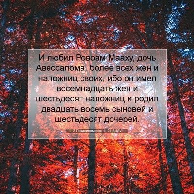 Picture 07 - 2 Паралипоменон 11:21 RUSV - И любил Ровоам Мааху, дочь - Bible Verse Picture
