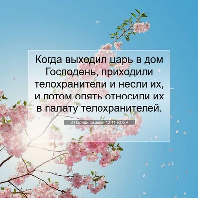 Picture 07 - 2 Паралипоменон 12:11 RUSV - Когда выходил царь в дом - Bible Verse Picture