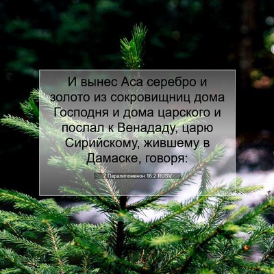 Picture 07 - 2 Паралипоменон 16:2 RUSV - И вынес Аса серебро и - Bible Verse Picture