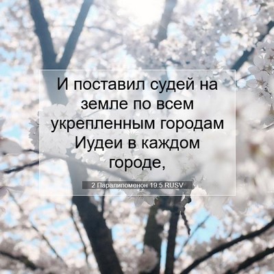 Picture 07 - 2 Паралипоменон 19:5 RUSV - И поставил судей на земле - Bible Verse Picture