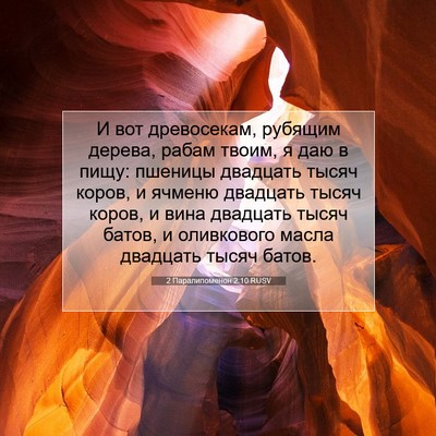 Picture 07 - 2 Паралипоменон 2:10 RUSV - И вот древосекам, рубящим - Bible Verse Picture