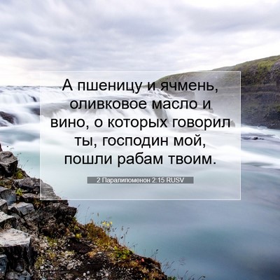 Picture 07 - 2 Паралипоменон 2:15 RUSV - А пшеницу и ячмень, - Bible Verse Picture