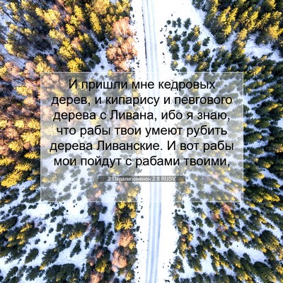 Picture 07 - 2 Паралипоменон 2:8 RUSV - И пришли мне кедровых - Bible Verse Picture
