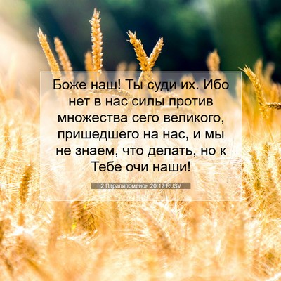 Picture 07 - 2 Паралипоменон 20:12 RUSV - Боже наш! Ты суди их. Ибо - Bible Verse Picture