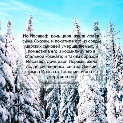 Picture 07 - 2 Паралипоменон 22:11 RUSV - Но Иосавеф, дочь царя, - Bible Verse Picture