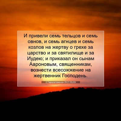 Picture 07 - 2 Паралипоменон 29:21 RUSV - И привели семь тельцов и - Bible Verse Picture
