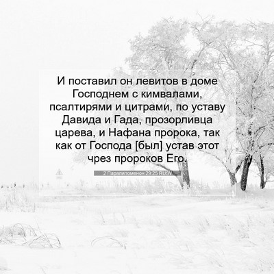 Picture 07 - 2 Паралипоменон 29:25 RUSV - И поставил он левитов в - Bible Verse Picture