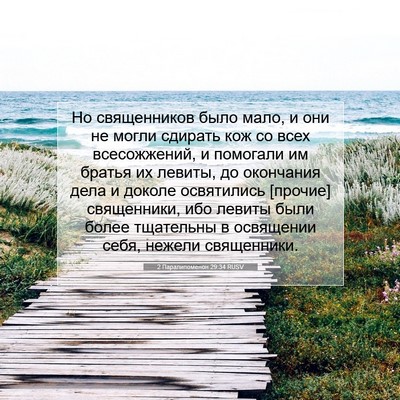 Picture 07 - 2 Паралипоменон 29:34 RUSV - Но священников было мало, и - Bible Verse Picture