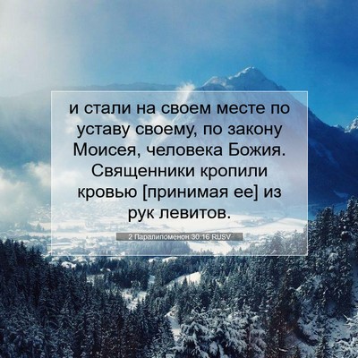 Picture 07 - 2 Паралипоменон 30:16 RUSV - и стали на своем месте по - Bible Verse Picture