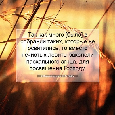 Picture 07 - 2 Паралипоменон 30:17 RUSV - Так как много [было] в - Bible Verse Picture