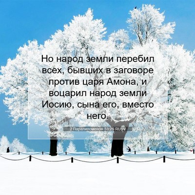 Picture 07 - 2 Паралипоменон 33:25 RUSV - Но народ земли перебил - Bible Verse Picture