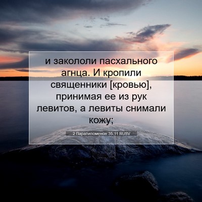 Picture 07 - 2 Паралипоменон 35:11 RUSV - и закололи пасхального - Bible Verse Picture