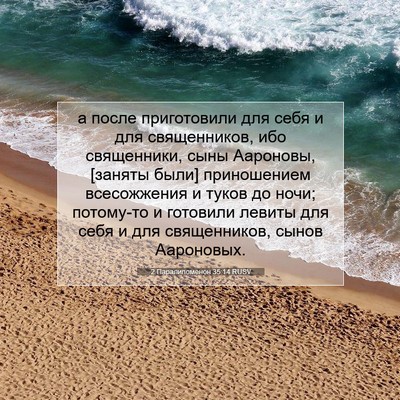 Picture 07 - 2 Паралипоменон 35:14 RUSV - а после приготовили для - Bible Verse Picture